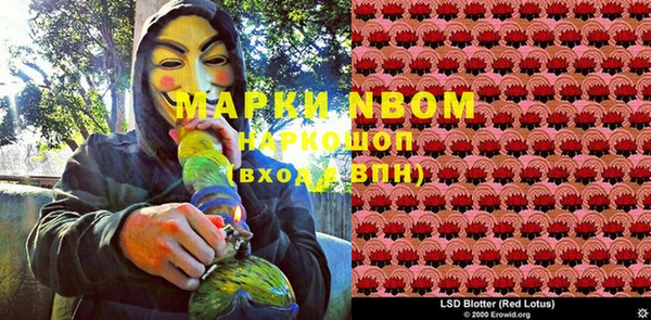 дурь Каменногорск