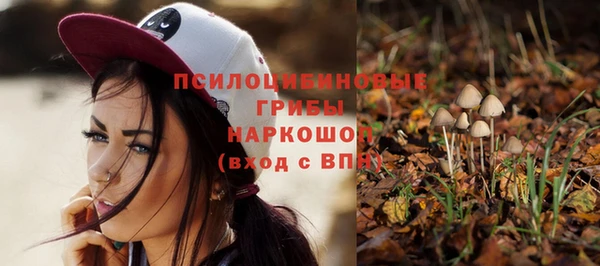 альфа пвп Верхнеуральск
