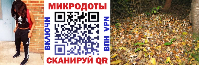 omg маркетплейс  Рузаевка  Галлюциногенные грибы прущие грибы  купить  